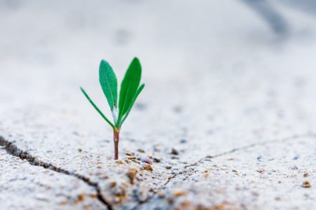 stanislav-kondratiev-MdexOj4D-MU-unsplash