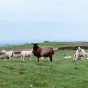 How to Define Your Marketing Strengths and Differentiators