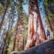 How to Scale the Right Way